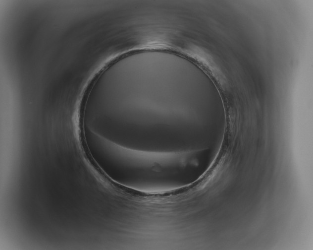 X0000102461422200808151358