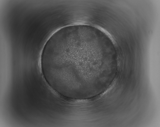 X0000102461423200808151358