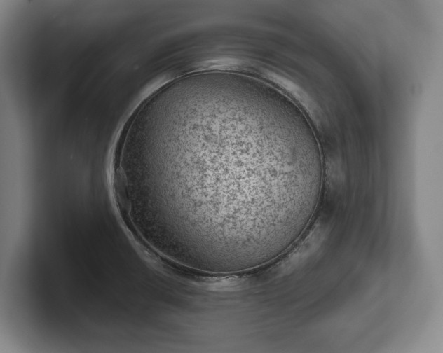 X0000102461426200808151358