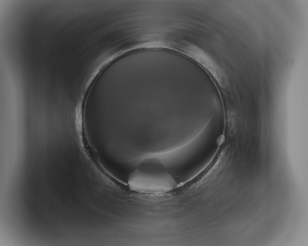 X0000102461428200808151358