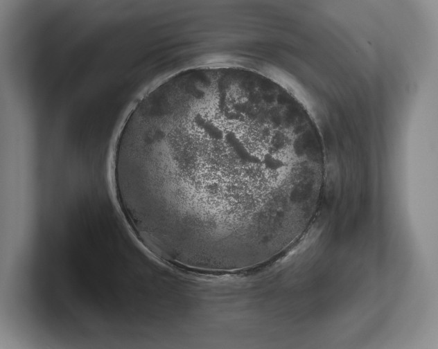 X0000102461429200808151358