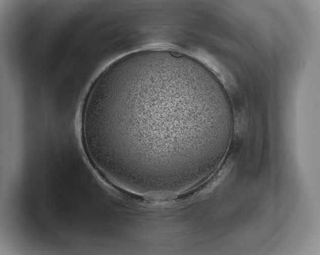 X0000102461430200808151358