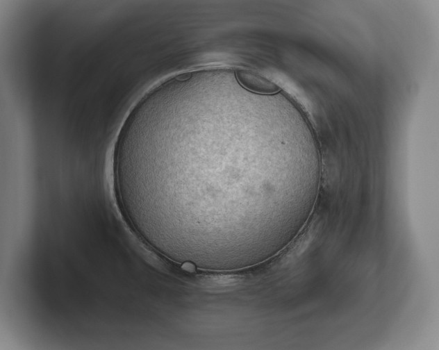 X0000102461431200808151358