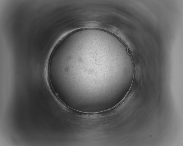 X0000102461432200808151358