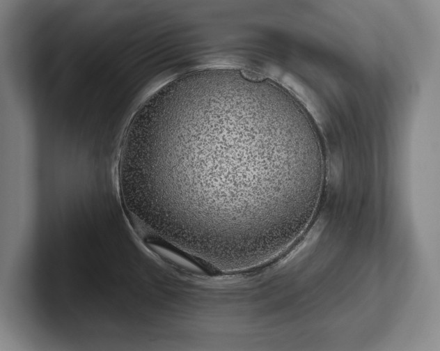 X0000102461433200808151358