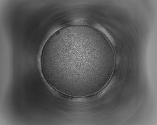 X0000102461434200808151358