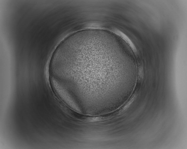 X0000102461435200808151358