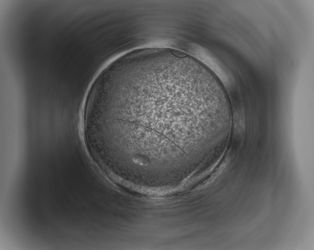 X0000102461436200808151358