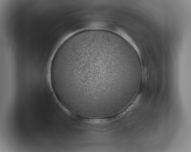 X0000102461437200808151358