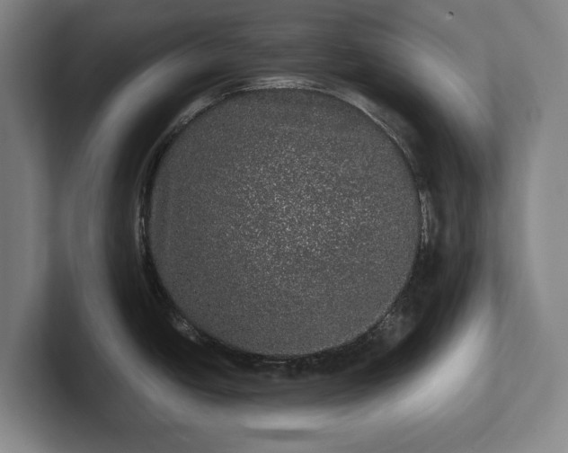 X0000102461438200808151358