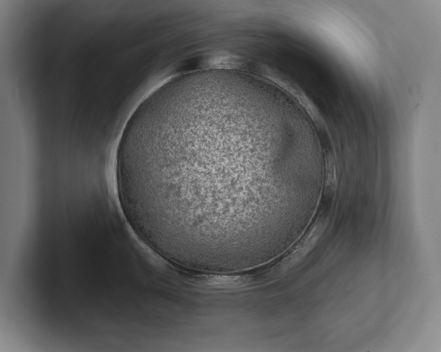 X0000102461439200808151358