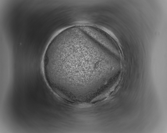 X0000102461440200808151358