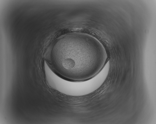 X0000102461441200808151357