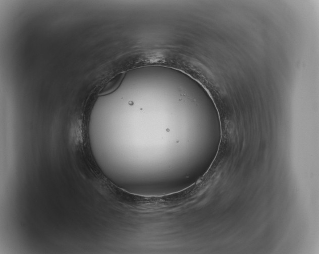 X0000102461442200808151357