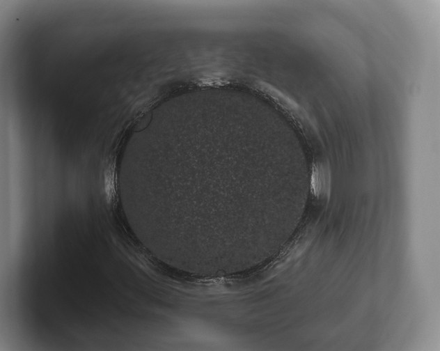 X0000102461444200808151357