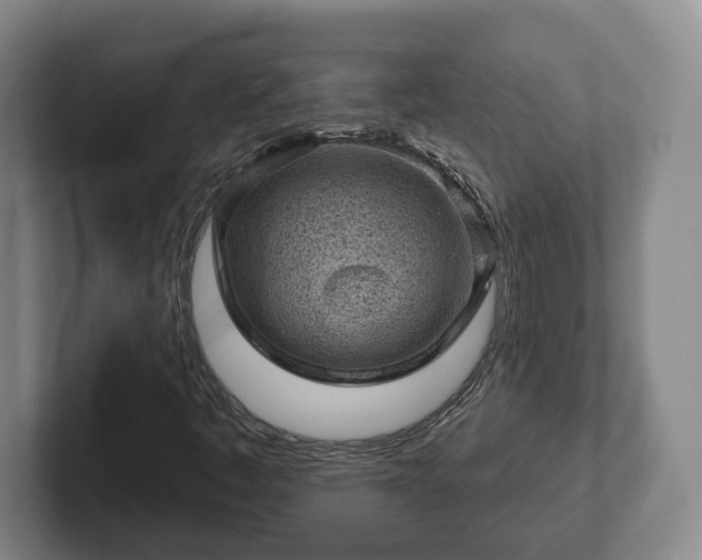 X0000102461445200808151357