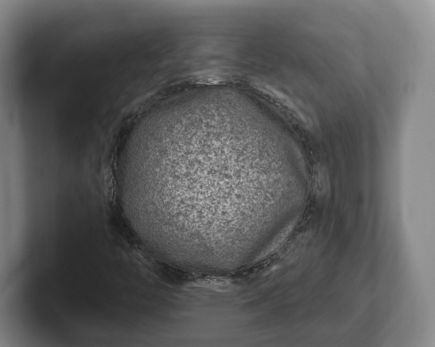 X0000102461446200808151357