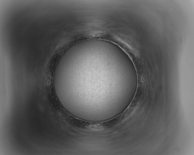 X0000102461447200808151357