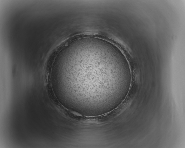 X0000102461448200808151357