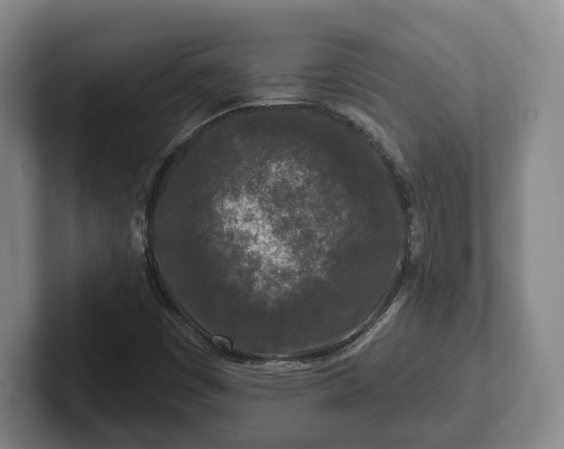 X0000102461449200808151357