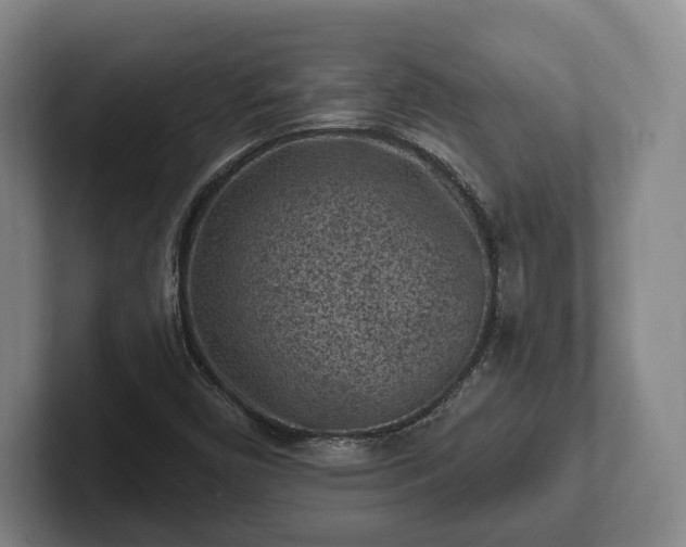 X0000102461450200808151357