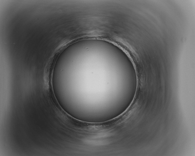 X0000102461451200808151357