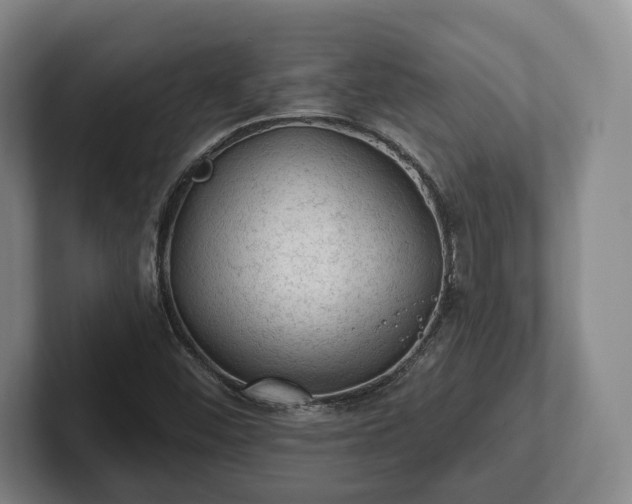 X0000102461452200808151357