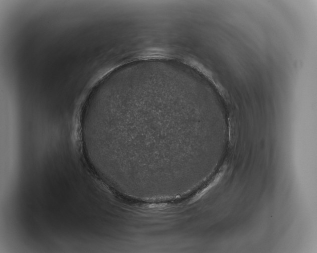 X0000102461453200808151357