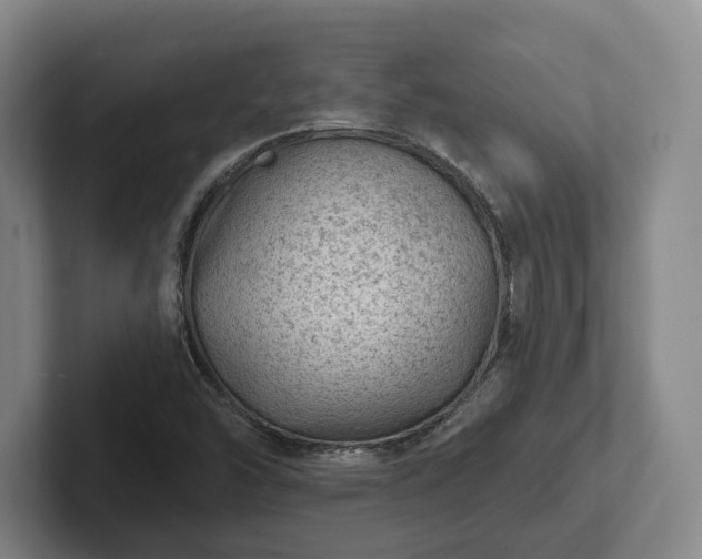 X0000102461454200808151357