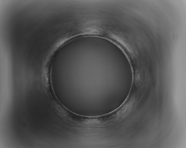 X0000102461455200808151357