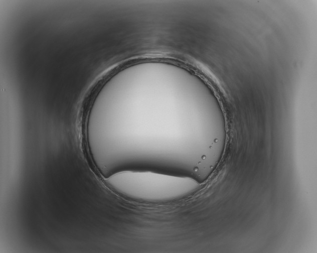 X0000102461456200808151357