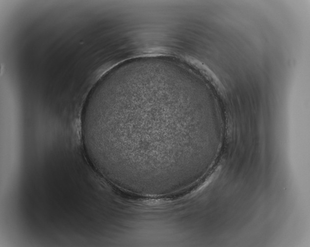 X0000102461457200808151357