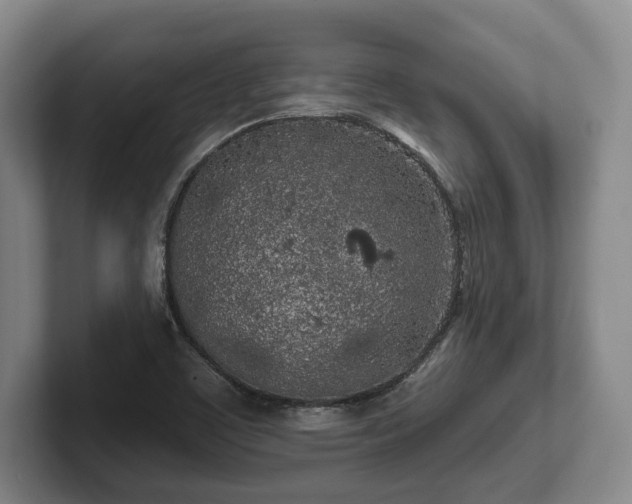 X0000102461459200808151357