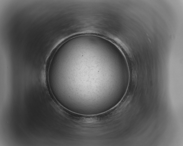 X0000102461460200808151357