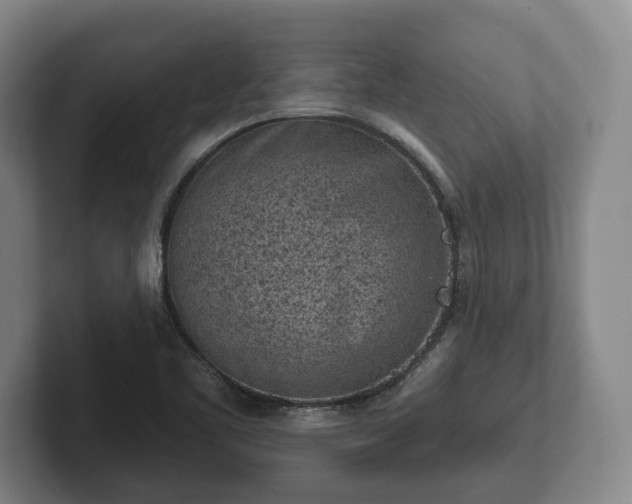 X0000102461461200808151357