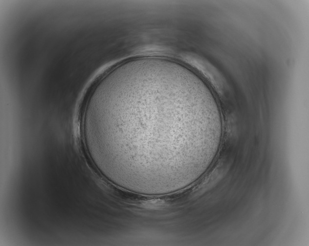 X0000102461462200808151357