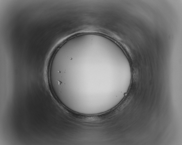 X0000102461464200808151357