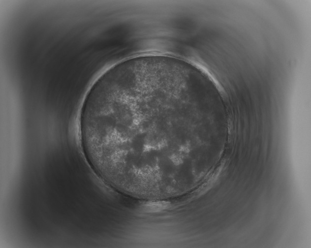 X0000102461466200808151357