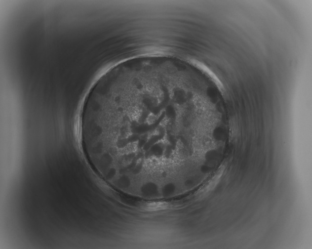 X0000102461467200808151357