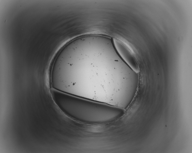 X0000102461468200808151357