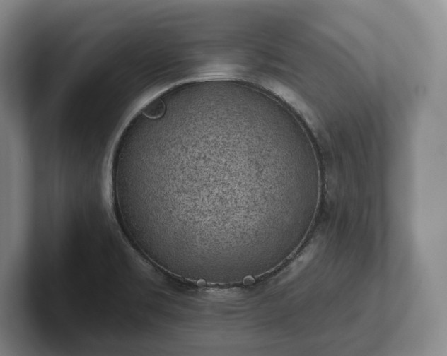 X0000102461469200808151357