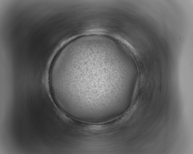 X0000102461470200808151357