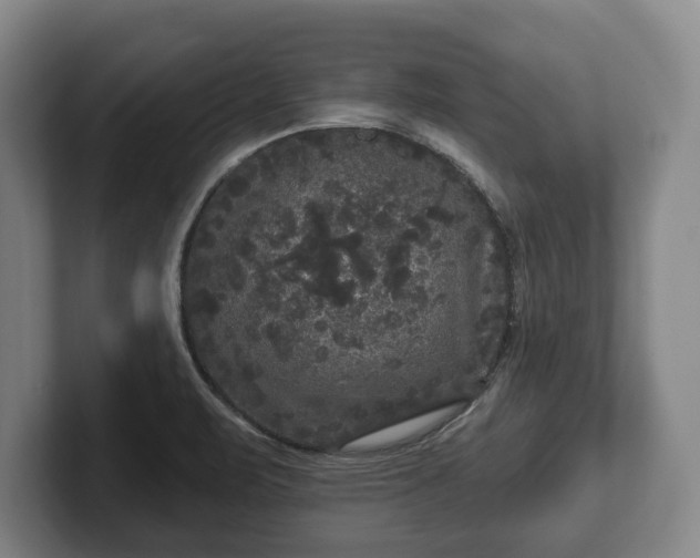 X0000102461471200808151357