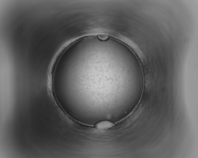 X0000102461472200808151357