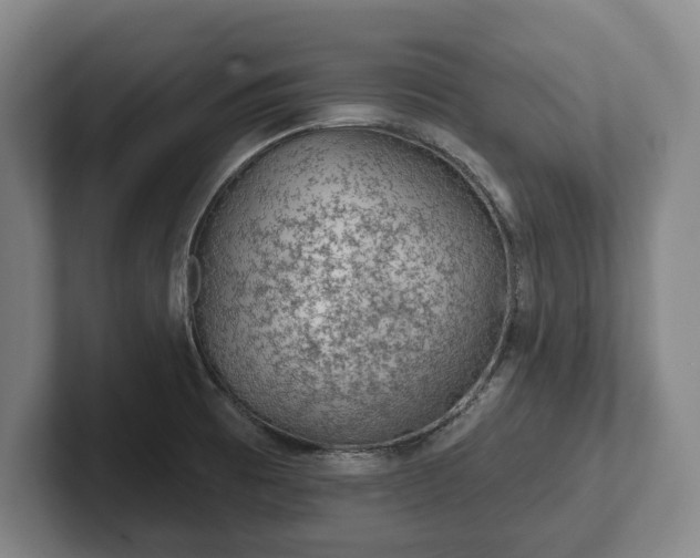 X0000102461473200808151357