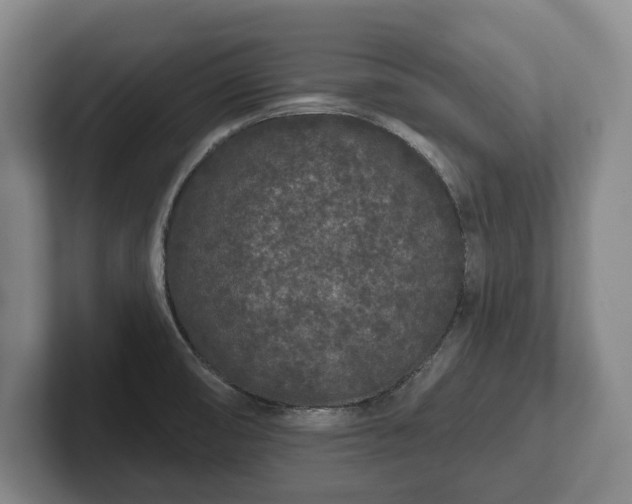 X0000102461474200808151357