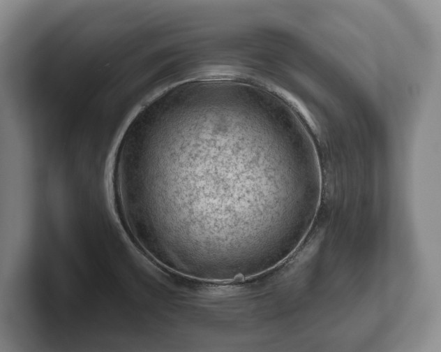 X0000102461475200808151357