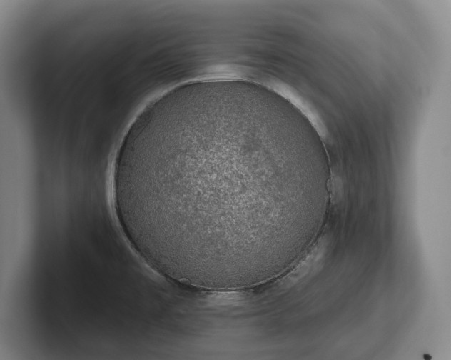 X0000102461477200808151357