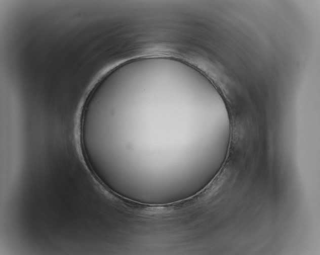 X0000102461478200808151357