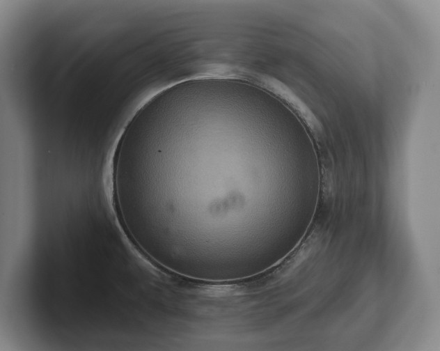 X0000102461479200808151357